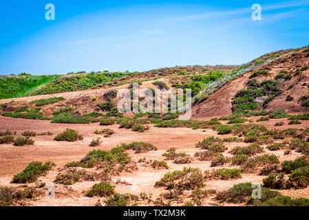 Landschaft mit trockenen geknackt takir Boden in Halbwüste in Russland Stockfoto