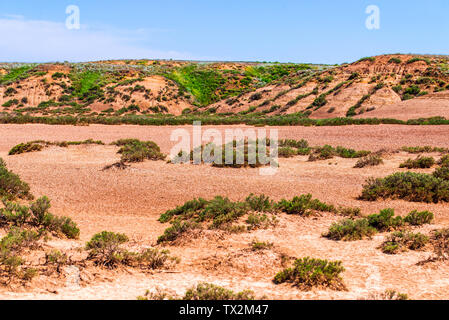 Landschaft mit trockenen geknackt takir Boden in Halbwüste in Russland Stockfoto