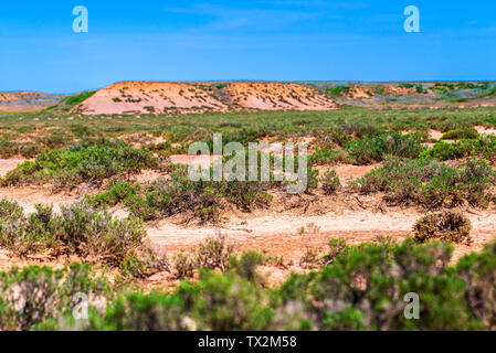 Landschaft mit trockenen geknackt takir Boden in Halbwüste in Russland Stockfoto