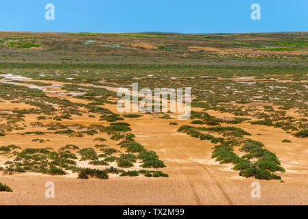 Landschaft mit trockenen geknackt takir Boden in Halbwüste in Russland Stockfoto