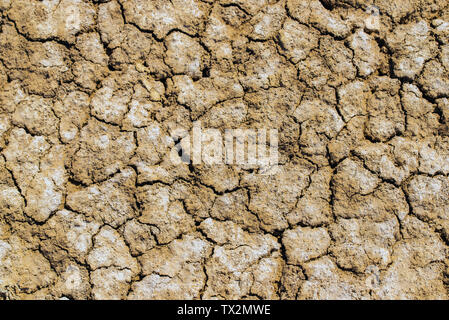 Textur Hintergrund von takir Boden in der Wüste. Stockfoto