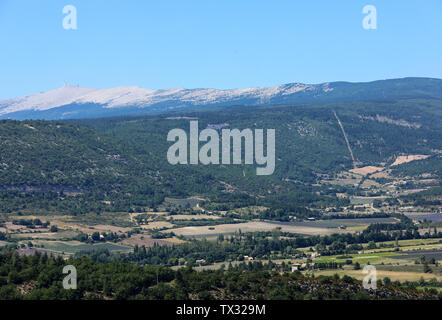 Felder und Wiesen im Tal unten Sault Provence Frankreich Stockfoto