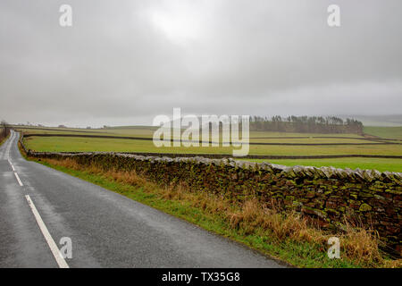 Wald von Bowland Landschaft in Lancashire an einem nebligen nebeliger Morgen im Winter, Lancashire, England Stockfoto