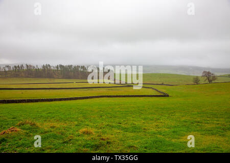 Wald von Bowland Landschaft in Lancashire an einem nebligen nebeliger Morgen im Winter, Lancashire, England Stockfoto