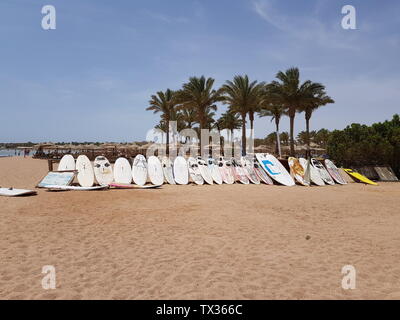 Ägypten, Sharm El Sheikh - Mai 06,2019. Surfbretter in Reihen auf dem Sand am Strand vom Meer. Platz für Text Stockfoto