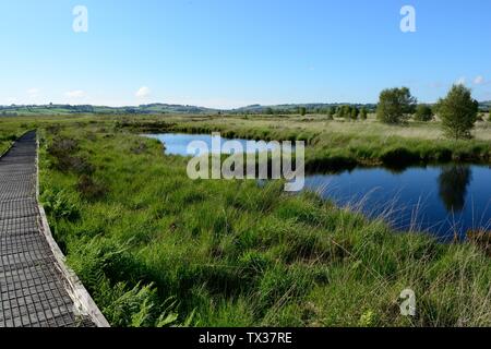 Boardwalk durch Cors Caron National Nature Reserve Tregaron Bog feinste Beispiel eines Hochmoor in Großbritannien Wales Cymru GROSSBRITANNIEN Stockfoto