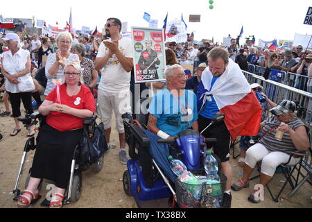 Die größte tschechische Demonstration seit 1989 mit über 258.000 an Letna plain in Prag, Tschechische Republik, 23. Juni 2019. Der Protest Stockfoto