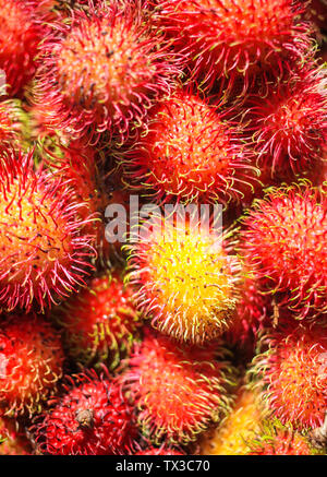 Rambutan ist sehr nahrhaft und kann die Gesundheit Vorteile von Gewichtsverlust und bessere Verdauung zu einer erhöhten Resistenz gegenüber Infektionen bieten. Stockfoto