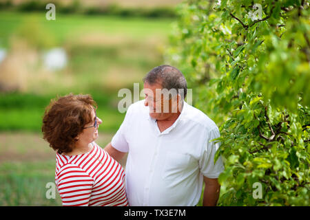 Senior Paar in der Obstgarten im Sommer. Stockfoto