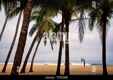 Männliche Surfer mit Surfbrett am tropischen Strand mit Palmen, San Pancho, Nayarit, Mexiko Stockfoto