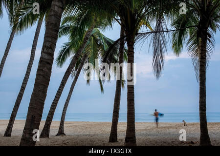 Männliche Surfer und Hund auf tropischen Meer Strand mit Palmen, San Pancho, Nayarit, Mexiko Stockfoto