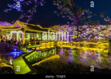 Touzhu nacht Kirsche, gepaart mit Changchun Brücke, die Brücke in der Nacht cherry Stockfoto