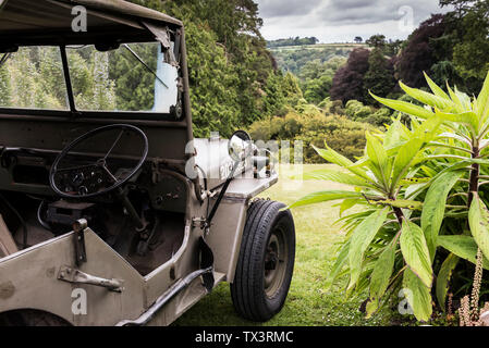 Ein WWII Ära vintage Willys Jeep auf der Wiese mit Blick auf Trebah Garten in Cornwall geparkt. Stockfoto