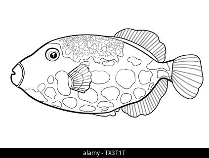 Drückerfische Fisch clown, silhouette cartoon Hand gezeichnet Meer Tier, Kontur maritimen Charakter, Färbung, Skizze. Umrisse isoliert Schwarz und Weiß Stock Vektor