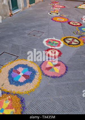 Lokalen Dorf religiöse Fest, Infiorata, Fronleichnam, 23. Juni 2019. Die Straßen sind mit Blumen vor eine religiöse Prozession eingerichtet. La Stockfoto