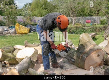 Ein Baum Chirurg oder baumzüchter Schnitte bis einen umgestürzten Baum in kleine Abschnitte. Er trägt Sicherheitsausstattung. Stockfoto