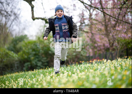 Portrait von Boy auf Blumenwiese heraus haften Zunge Stockfoto