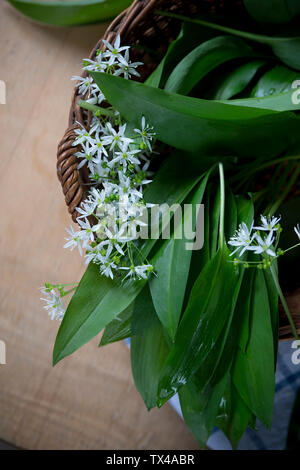Blüten und Blätter von Random in wiccurbasket Stockfoto