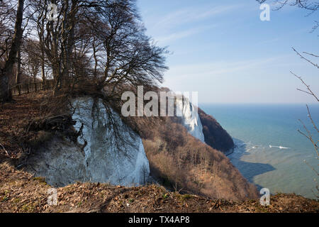 Deutschland, Mecklenburg-Vorpommern, Rügen, Nationalpark Jasmund Kreidefelsen Königsstuhl Stockfoto