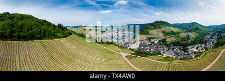 Deutschland, Rheinland-Pfalz, Panoramablick auf Traben-Trarbach, Mosel, Weingarten Stockfoto