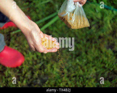 Weibliche hand säen Blumensamen, outdoor Nahaufnahme Stockfoto