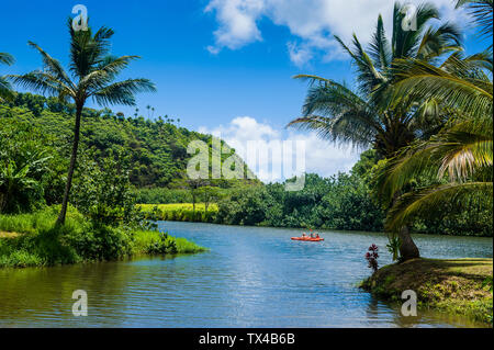 USA, Hawaii, Kauai, Wailua River Stockfoto