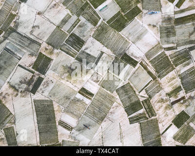 Indonesien, Sumbawa, Kertasari, Luftaufnahme von Algen Plantage Stockfoto