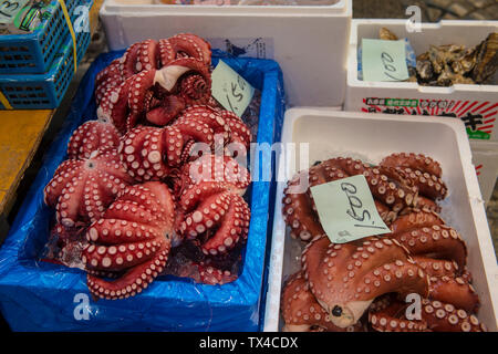 Japan, Tokio, Tsukiji, Boxen von frischem Tintenfisch am Fischmarkt Stockfoto