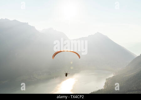 Österreich, Tirol, Gleitschirm über den Achensee in den frühen Morgenstunden Stockfoto