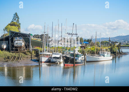 Boote und Yachten in der Tamar River in Launceston, Tasmanien, Australien. Stockfoto