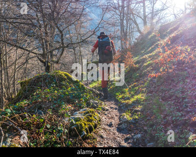 Spanien, Asturien, Kantabrischen Gebirge, älterer Mann auf einer Wanderung durch die Wälder Stockfoto