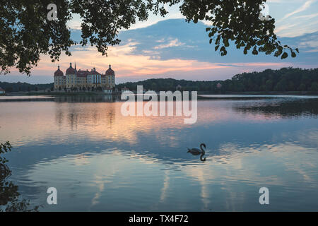 Deutschland, Sachsen, Schloss Moritzburg am Schlossteich am Abend Stockfoto