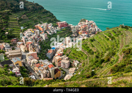 Manorola, Cinque Terre, Ligurische Riviera, in der Provinz La Spezia, Italien Stockfoto