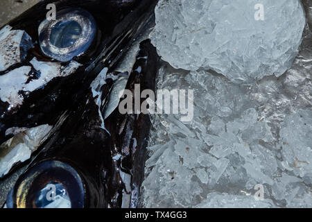 Schwarzer Degenfisch im Mercado dos Lavradores, Markt der Landwirte, Funchal, Madeira, Portugal Stockfoto