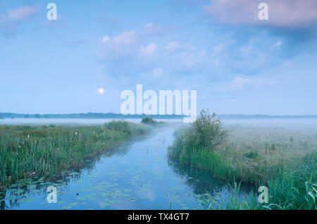 Misty ruhigen Sonnenuntergang mit Vollmond über den Fluss im Sommer Stockfoto