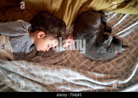 Kleinkind Mädchen und graue Katze schlafend auf dem Bett, Ansicht von oben Stockfoto