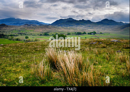 Dämmerung über Eskdale Green, von Muncaster fiel, Eskdale, Lake District, Cumbria, England Großbritannien Stockfoto