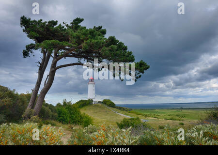 Deutschland, Mecklenburg-Vorpommern, Insel Hiddensee, Dornbusch Leuchtturm und Tanne mit bewölktem Himmel Stockfoto