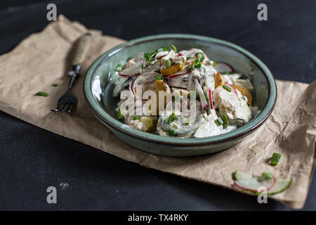 Schüssel mit gebratener Kartoffelsalat mit Gurke, rote Radieschen, Frühlingszwiebeln und Mayonnaise Joghurt Dressing Stockfoto