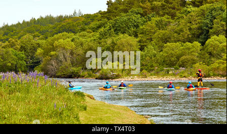 RIVER SPEY SCHOTTLAND PADDLE BOARD UND 5 Kajaks Rubrik flussabwärts auf dem Fluss im FRÜHSOMMER Stockfoto