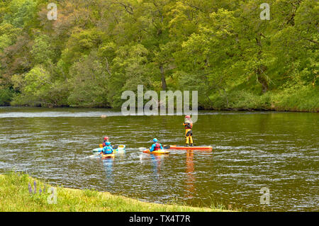 RIVER SPEY SCHOTTLAND PADDLE BOARD UND DREI KAJAKS RUBRIK flussabwärts auf dem Fluss im FRÜHSOMMER Stockfoto