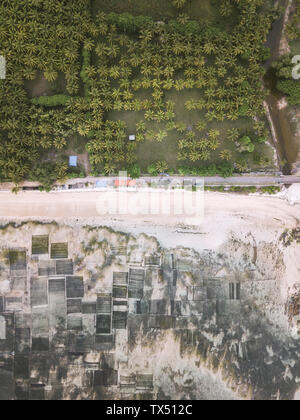 Indonesien, Sumbawa, Kertasari, Luftaufnahme von Algen Plantage Stockfoto