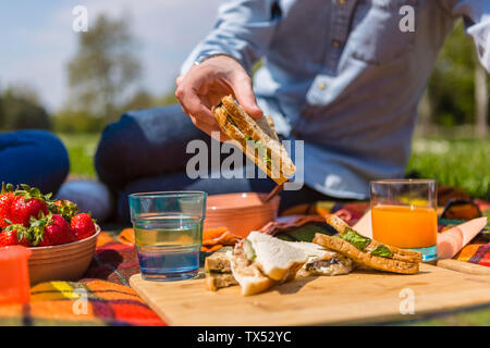 Junges Paar bei einem Picknick mit gesunden Lebensmitteln in einem Park Stockfoto