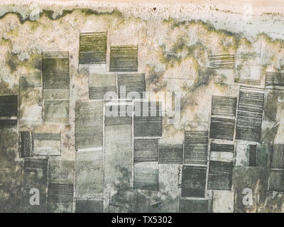 Indonesien, Sumbawa, Kertasari, Luftaufnahme von Algen Plantage Stockfoto