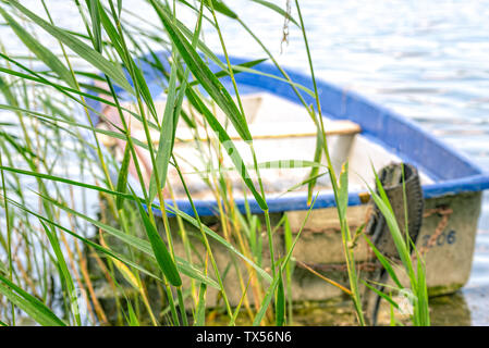 Boot liegt in den See in der Reed Stockfoto