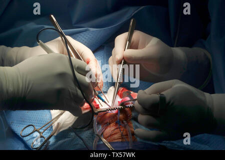 Tam Duc Kardiologie Krankenhaus Stockfoto