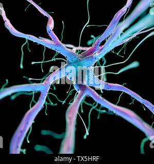 3D gerendert, medizinisch genaue Abbildung einer Nervenzelle Stockfoto