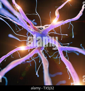 3D gerendert, medizinisch genaue Abbildung eines aktiven Nervenzellen Stockfoto