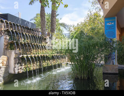 PALMA, MALLORCA, SPANIEN - 22. MAI 2019: Besucher Schildkröten im Teich auf Marineland am 22. Mai 2019 im Palma, Mallorca, Balearen, Spanien. Stockfoto