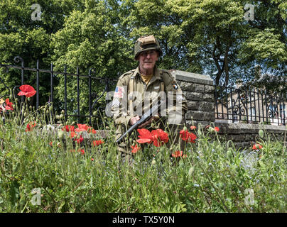 US Airborne Soldat (Re-Enactor) von Mohnblumen, Barnard Castle, 1940 Wochenende, 2019, Teesdale, County Durham, UK umgeben. Stockfoto